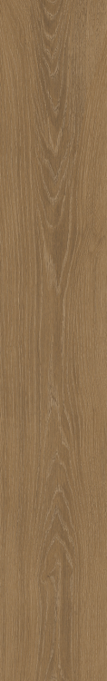 Time Wood Essence 7.5 x 48